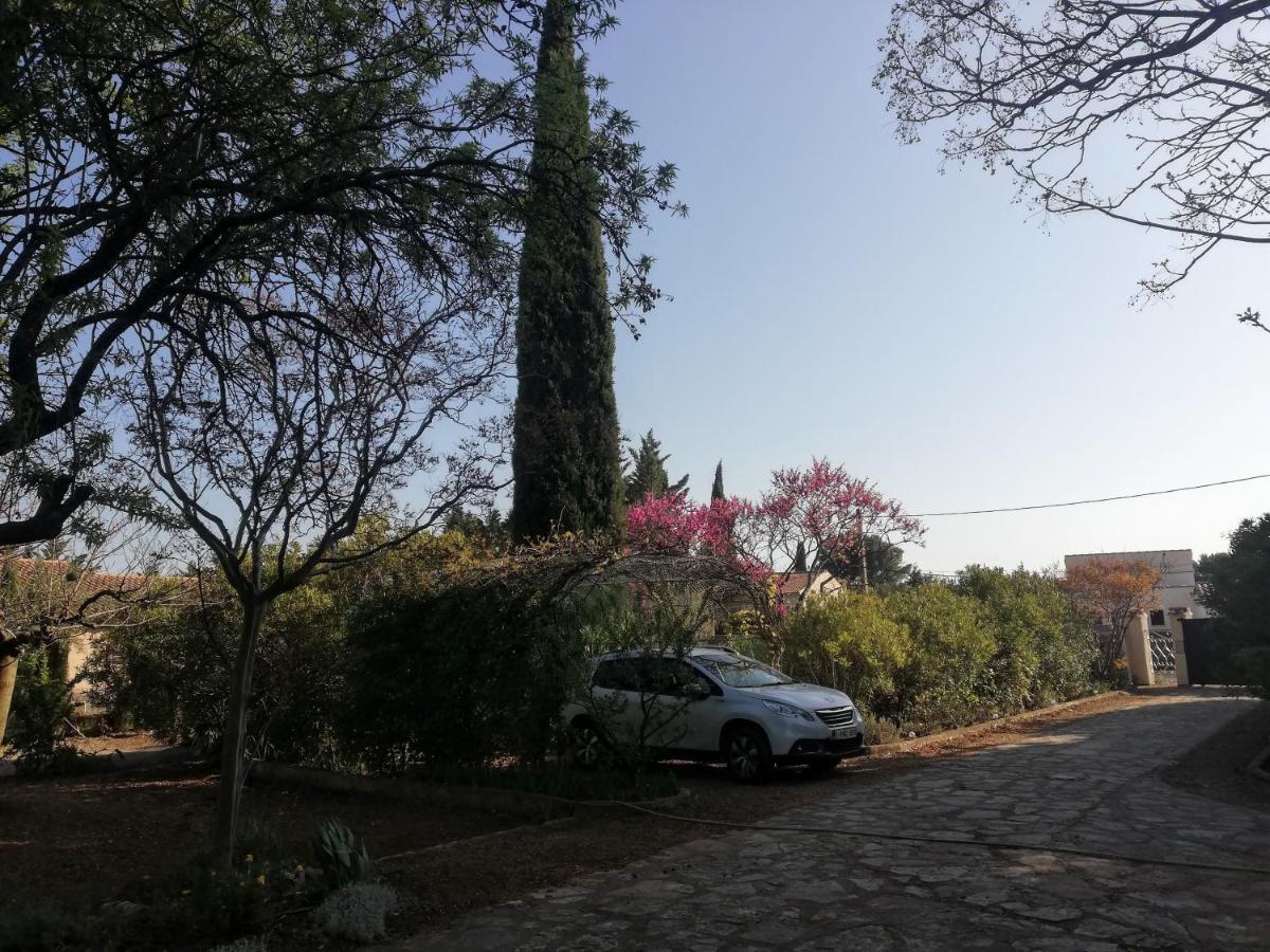 Un Avant Gout Du Nirvana Canet  Buitenkant foto