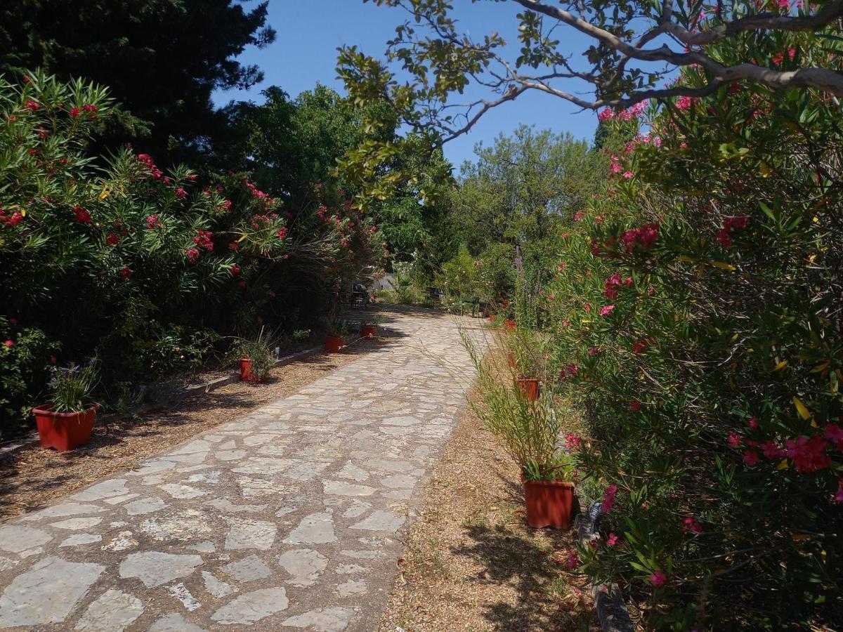 Un Avant Gout Du Nirvana Canet  Buitenkant foto